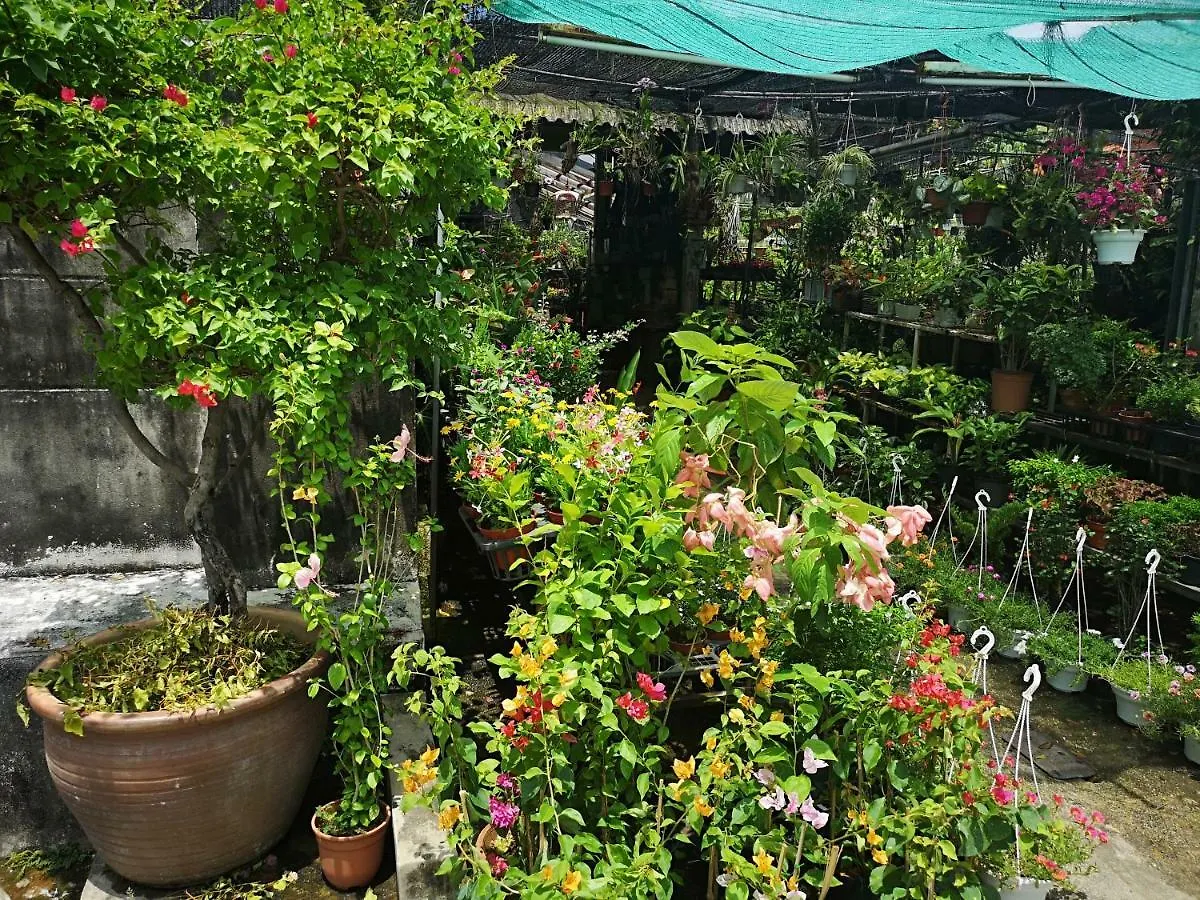Back Homestay George Town 0*,